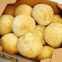 [디저트바이블룸] 겉은 쫀득 속은 촉촉한 감자빵 10개입 어린이 영양간식 출출할때 식사 대용 감자빵, 95g