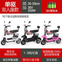 노인 어르신 세발 삼륜 3륜 오토바이 전동 스쿠터 바이크 전기, 48V, 36V 리튬 2인승