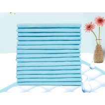 성인 소변 패드 1회용 일회용 간호 기저귀 요양 병원, 90x90 경제형 모델 50개 1x1cm