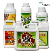 뿌리발근제 식물비료 관주용비료 식물영양제 액비 제품별도구매, B형 더루츠2L