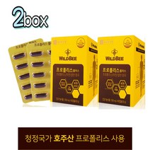 와이드비 종근당건강 프로폴리스 60캡슐-2box