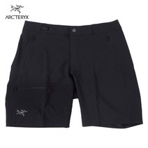 아크테릭스 감마 LT 쇼츠 9인치 남성 반바지