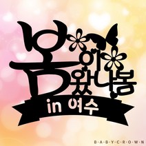 베이비크라운 여행지 여행토퍼 (봄이 왔나봄)
