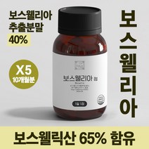 이상한약방 보스웰리아 정 300캡슐 10개월분 보스웰릭산 무릎 관절, 60캡슐, 5병
