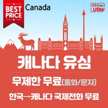 캐나다유심 로저스 무제한 데이터 통화 5일~30일 60일 90일 심카드 장기 유학생 캐나다유심칩, 공심(Blank USIM), 인천공항 제2터미널