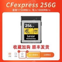 렉사 CFexpress TYPE B 512 GB 메모리 카드 캐논 R5 R3 1DX3 SLR D850 고속, CFE 고속 카드 256G