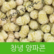 코리아F&C 창녕양파콘 1.2kg, 1개