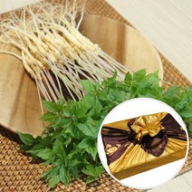 전남 무안 수경재배 새싹삼 선물세트 대 50뿌리