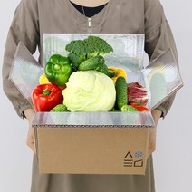 친환경 종이 보냉박스 고냉지함 2호 (30장)