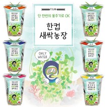 한컵새싹농장 씨앗키우기 6종 / 모종키우기 체험학습재료 원예체험 꽃, 다채