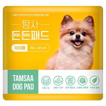 탐사 고흡수 든든패드 레몬향 · 100개입 1팩 상품 이미지