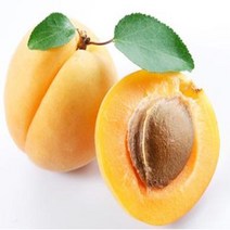 살구씨오일 100ml/살구씨유/클렌징오일/캐리어오일/Apricot kernel oil/천연화장품, 500ml, 1개