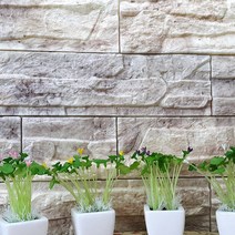 쿠셔니 단층석 폼블럭, 마블베이지, 12개