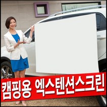 엑스젠 엑스텐션 빔스크린 스크린 캠핌용 미니빔 와이드 캠핑 스크린 빔프로젝터 빔프로젝트 프로젝션 이동형 이동식 포터블 차량 수납용 60인치 80인치 100인치, 09.100인치 스크린