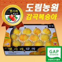 햇사레 복숭아 감곡 햇사래 백도 유명 황도 천중도 엘바더 엘바드 미백 몽부사 복숭아즙 산지직송 도림농원, 11~13과, 햇사레복숭아 4kg