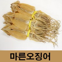 건어물광장 동해안 마른오징어, 마른오징어1.7kg