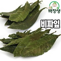 백장생 비파엽 통비파엽 (비파잎 통엽 비파차 비파잎차, 3개, 200g