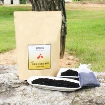 천연 야자활성탄 블랙로엘 정품 활명탄 공기정화숯2, 활명탄 500g, 1개입, 500g