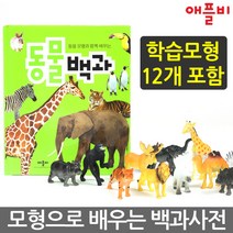 동물백과:동물모형과 함께 배우는