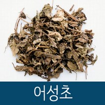 건조 어성초 건어성초잎 어성초 발모팩재료 한방재료, 1개, 100g