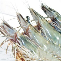 (주)푸드마을 블랙타이거새우 500g 왕새우 오도리, 1개, 블랙타이거새우 20미