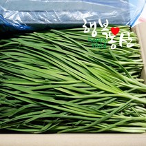 싱싱한 당일작업 부추 2~4kg, 1box, 부추4kg내외