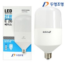 필립스 두영 LED공장등 LED파워램프 LED고촉램프 모음, 두영 LED글러브램프 31W 26베이스 주광색, 1개