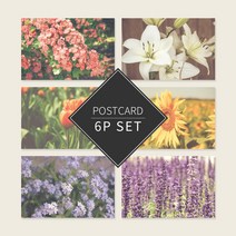 가든플라워 포스트카드 엽서세트 6P, 단품