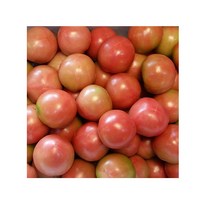 따봉이네과일 단단한 토마토, 1box, 토마토 2.5kg 4-5번