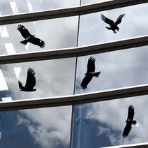 dk007-버드세이버, 딥그레이