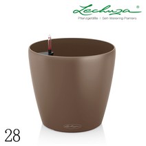 레츄자 클래시코 컬러 28, 넛멕(무광)