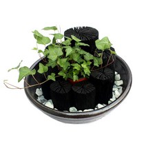 황금뒤주 오목물수반大가습기 A, 1개