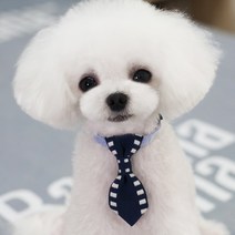 강아지 고양이 방울 보타이, 네이비(화이트)S, 1개