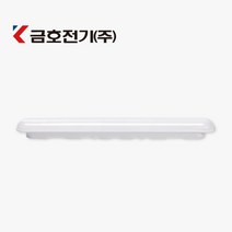 번개표 금호 LED 일자등 30W, 주광색, 1개
