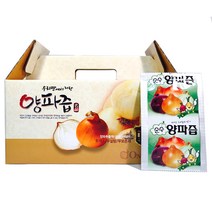 대원건강푸드 저온진공추출공법 100% 양파즙 110ml, 50팩, 100ml, 2019년 햇양파즙 50포
