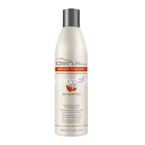 아이덴수입정품 리페어 테라피 샴푸 (건성 손상모) 300ml 1000ml 스칼프/두피/비듬샴푸, 1개