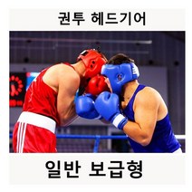 (주)다와 권투 태권도 킥복싱 스파링 복싱 헤드기어 안면보호대 격투기, 블루