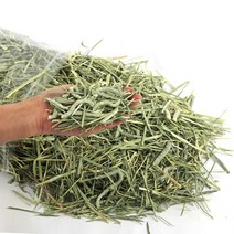 에밀리펫 슈퍼 프리미엄 손질완료 컷팅 티모시1kg 토끼사료 기니피그사료 친칠라사료, 1kg, 1개