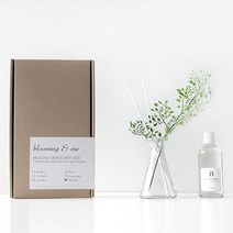 블루밍앤미 그린 leaf 디퓨저(아디안텀), 그린:일랑일랑
