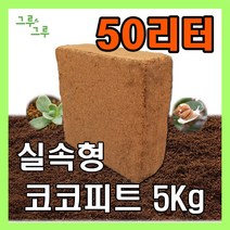 그루그루 압축 코코피트, 1개
