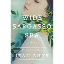 (영문도서) Wide Sargasso Sea, W W Norton & Co Inc