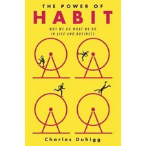 (영문도서) The Power of Habit: Why We Do What We Do in Life and Business, Random House Inc