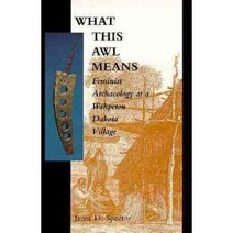 What This Awl Means: Feminist Archaeology at a Wahpeton Dakota Village, Minnesota Historical Society Pr