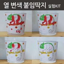 열변색붙임딱지실험kit(5인)