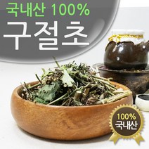 청정지역 국내산 구절초 300g, 구절초300g