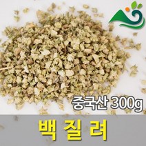 청명약초 백질려 중국산, 300g, 1개, 1개