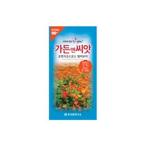 수입야생화씨앗 100선 오렌지코스모스 썸머보이 50립