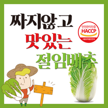농가식품 짜지않고 맛있는 절임배추 HACCP, 20kg, 수요일도착