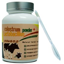 웰펫 초유 앤 유산균 반려동물 영양제, 100g, 2개