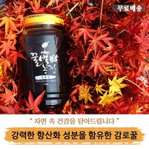 꿀벌농장 감로꿀, 14.5kg, 1박스
